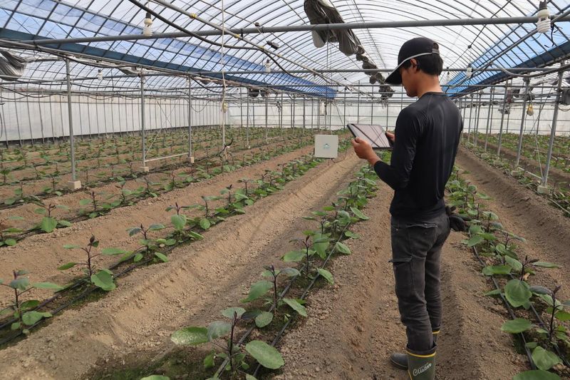 ペルプラント株式会社の求人・転職情報