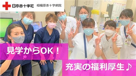 日本赤十字社-0003の求人・転職情報