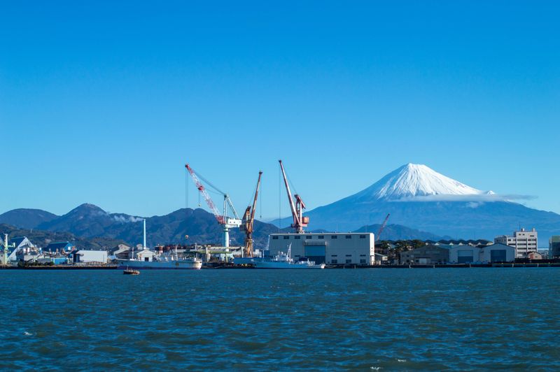 東海埠頭株式会社の求人・転職情報