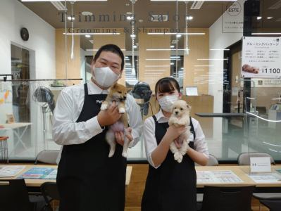 西村ジョイ丸亀店 ペット館のアルバイト・バイト求人情報-03
