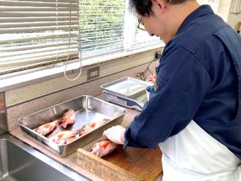 新潟県 農林水産部(新潟県庁)のアルバイト・バイト求人情報-02