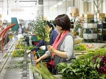 株式会社Japan　Flower　Trading　岡山事業所