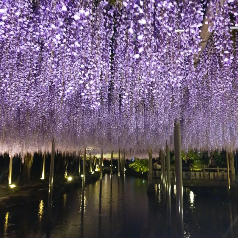 天王川公園のアルバイト・バイト求人情報-02