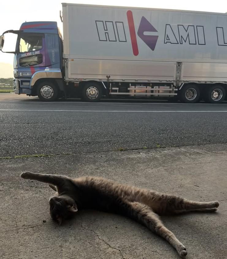 氷上物流株式会社のアルバイト・バイト求人情報-02