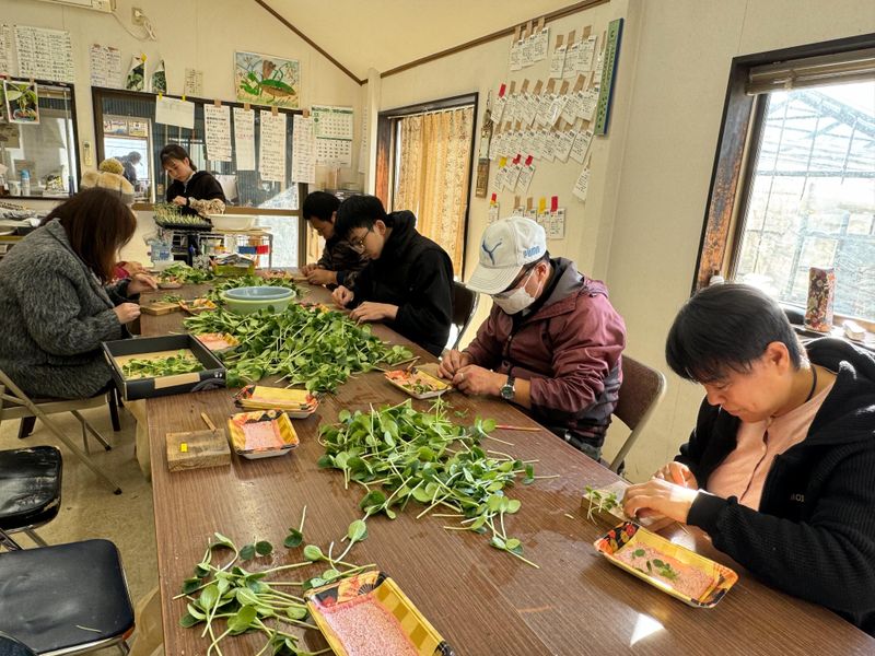 株式会社綿貫園芸の求人情報