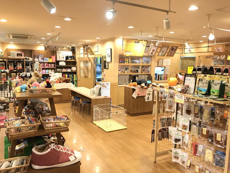 有限会社ペットショップボビーの求人・転職情報