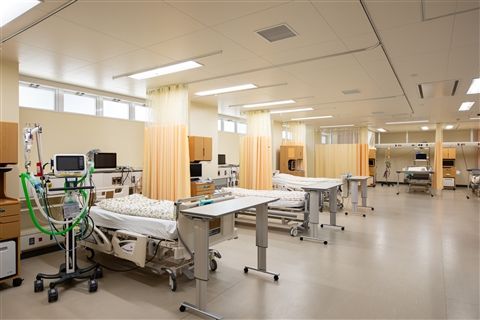 正志会グループ-0050の求人・転職情報