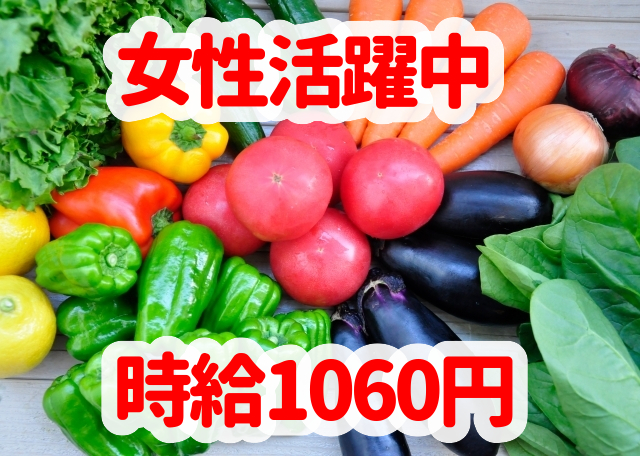 トータルテック株式会社の派遣求人情報