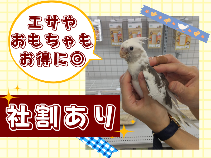 ペッツワン　カインズ　名古屋守山店のアルバイト・バイト求人情報-04