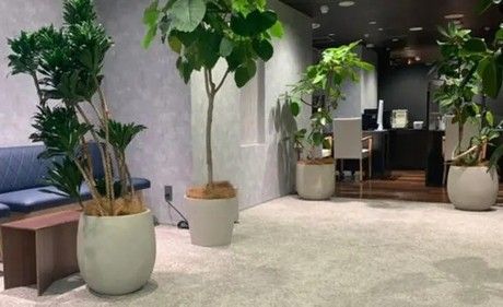 まねきや　あべの店のアルバイト・バイト求人情報-03