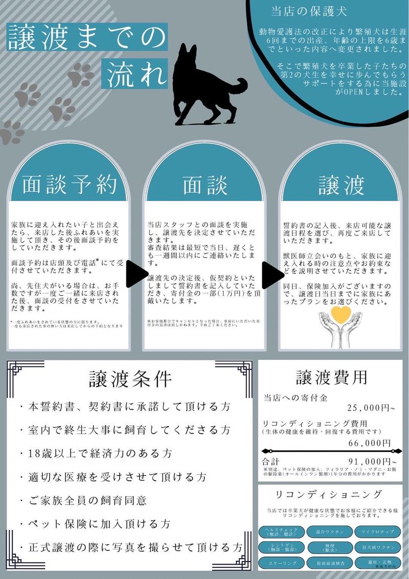 里親カフェ　一般社団法人ペット育成環境健全化推進協会のアルバイト・バイト求人情報-02