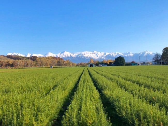 有限会社竹内山林緑化農園の求人・転職情報