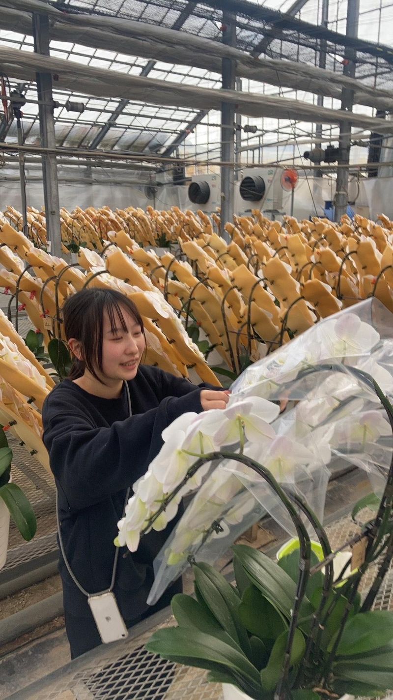 アートグリーン株式会社　東京本社のアルバイト・バイト求人情報-04