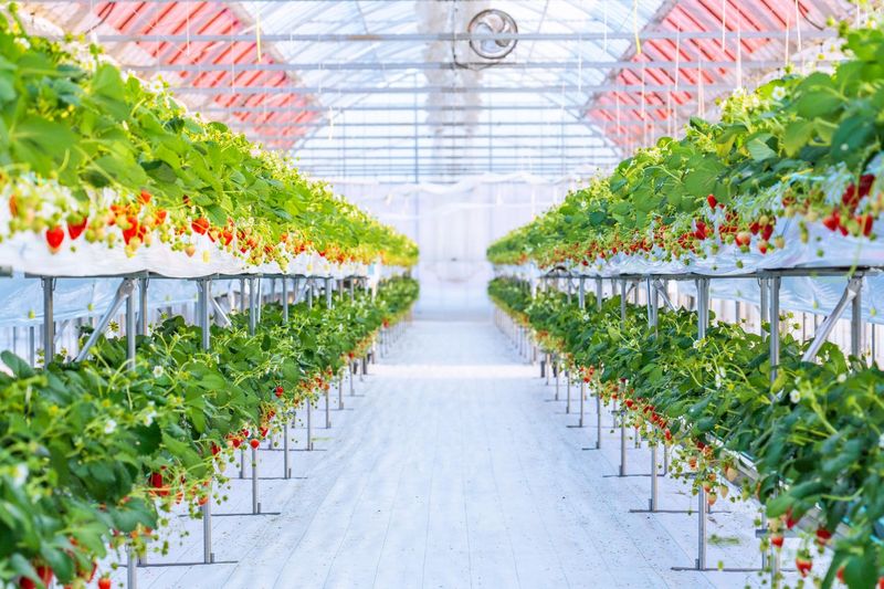 株式会社紀之国屋のぐるめのアルバイト・バイト求人情報-03