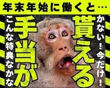 株式会社オープンループパートナーズのアルバイト・バイト求人情報-27