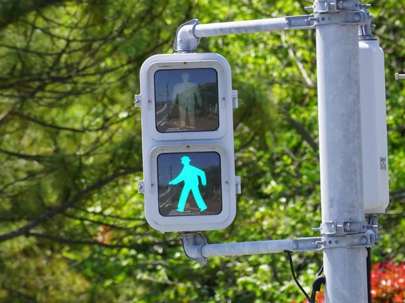 株式会社野原プラスチックスの求人・転職情報