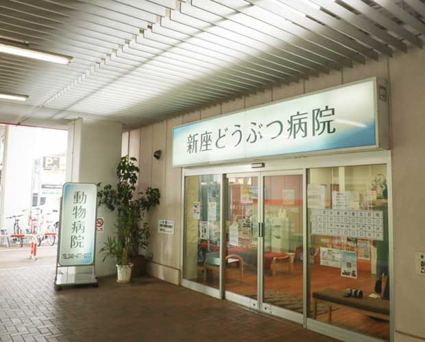 新座どうぶつ病院のアルバイト・バイト求人情報-02