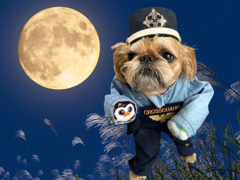 クロスガード株式会社のアルバイト・バイト求人情報-41