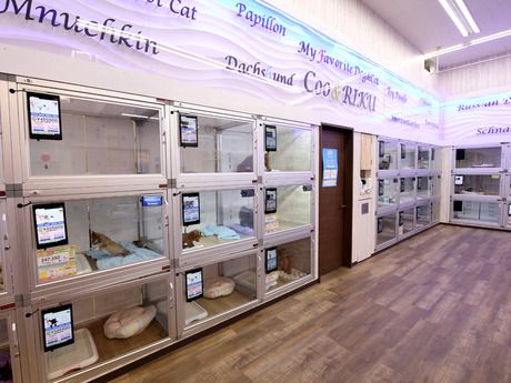 Coo&RIKU(クーアンドリク)　福岡古賀店のアルバイト・バイト求人情報-06