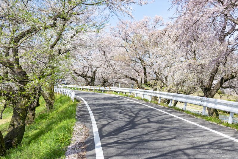 有限会社片山造園の求人・転職情報