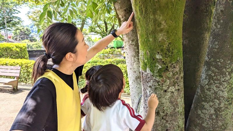 学校法人宗祐寺学園 田名幼稚園の求人・転職情報
