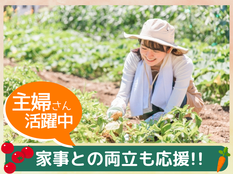NDSソリューション株式会社　VEGESOL.やとみのアルバイト・バイト求人情報-03