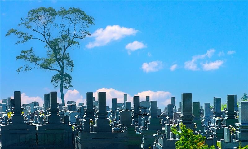 日本復興仏教会の求人・転職情報