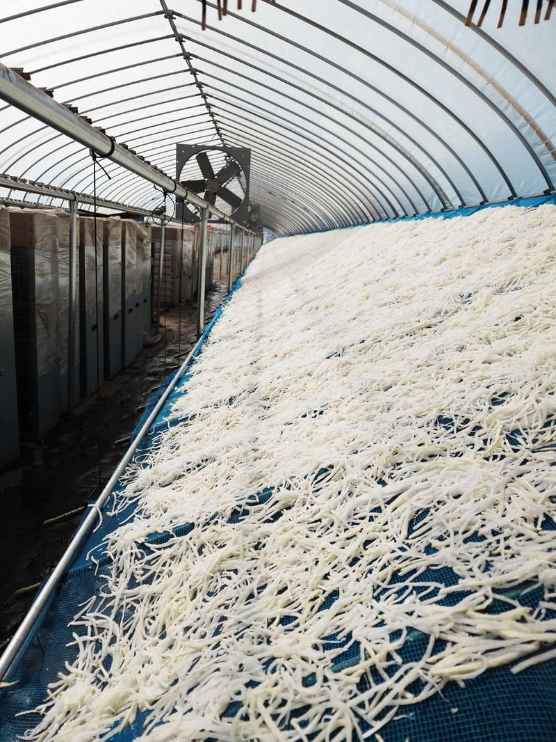 大三ファームのアルバイト・バイト求人情報-03