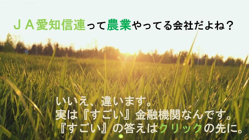 【WEB説明会】1時間半で知る!JA愛知信連ってどんな会社?