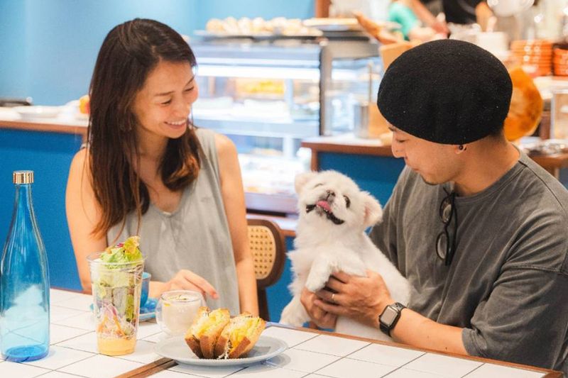 株式会社そら-0024の求人・転職情報