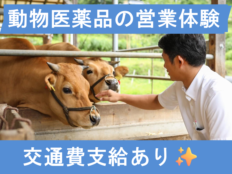 【28卒】動物医薬品の1日営業体験(高知市開催・交通費あり)