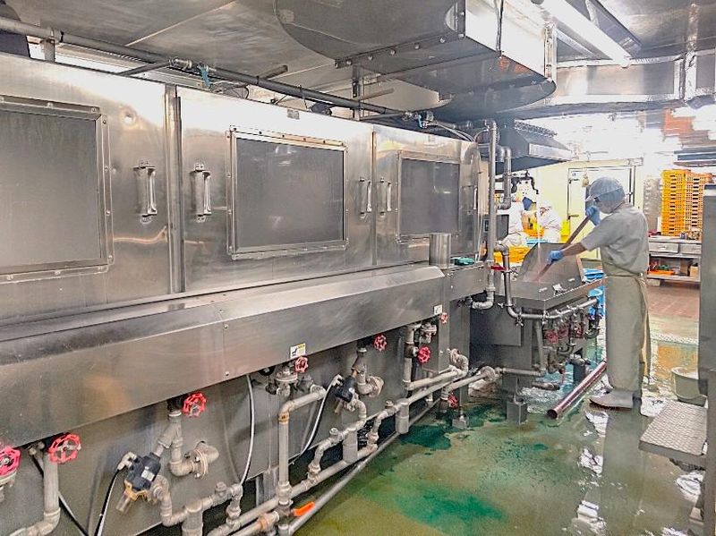 株式会社池田製麺のアルバイト・バイト求人情報-04