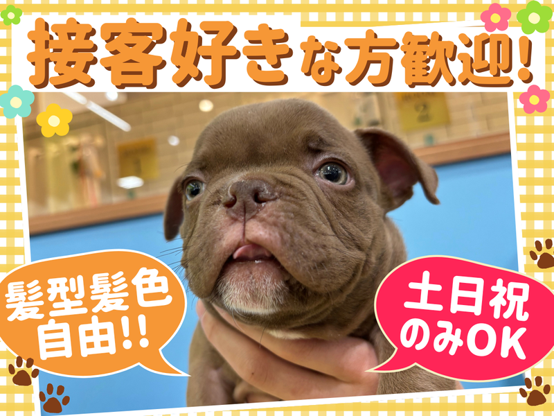 ワンラブ(ONELOVE)カインズ福岡新宮店のアルバイト・バイト求人情報-04