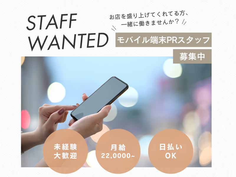 ヤマダデンキ テックランド岩見沢店の派遣求人情報