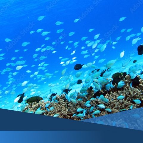 株式会社JWソリューションのアルバイト・バイト求人情報-39