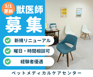 株式会社ベッツリンクの求人・転職情報