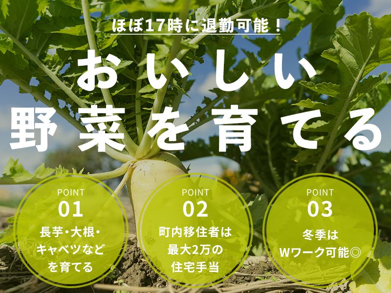 おとべ農産合同会社の求人・転職情報