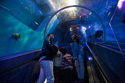 横浜･八景島シーパラダイスのアルバイト・バイト求人情報-01