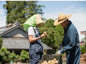 アクセンチュア株式会社の求人・転職情報