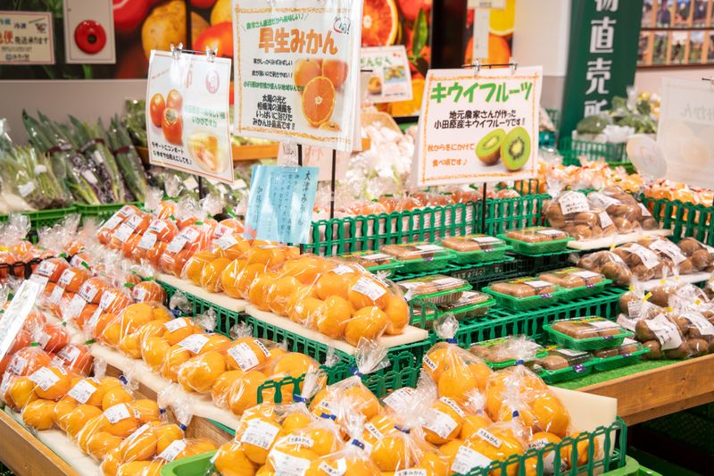漁港の駅 TOTOCO小田原/株式会社相州村の駅のアルバイト・バイト求人情報-02