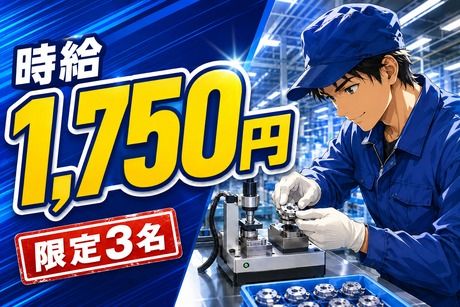 株式会社ヒューマンアイズの求人・転職情報