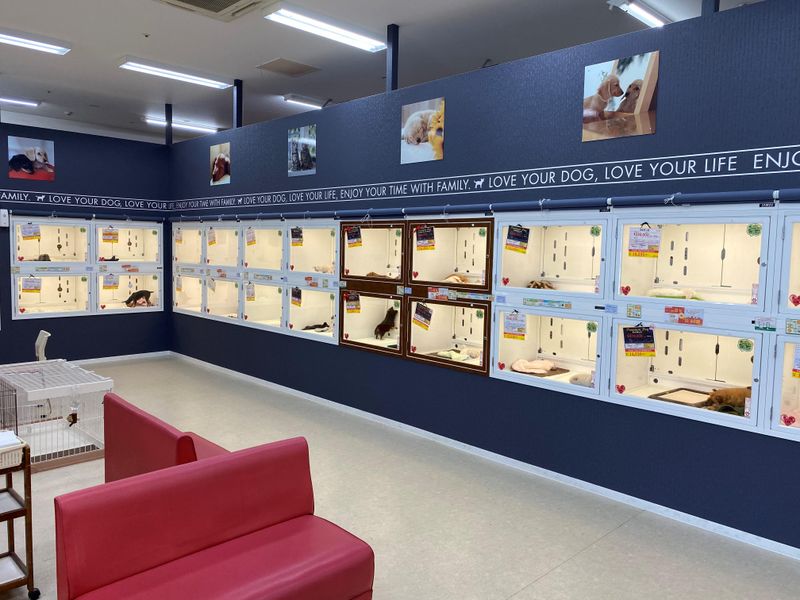 犬の家　エアポートウォーク名古屋店(株式会社犬の家)のアルバイト・バイト求人情報-05