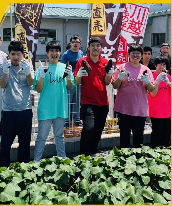 農福連携!!「川越いも」の収穫祭で障害福祉のお仕事体験