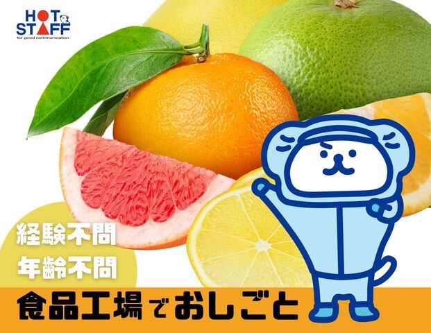 株式会社ホットスタッフ山形のアルバイト・バイト求人情報-01
