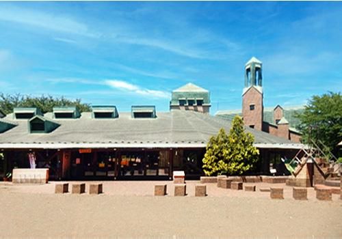 アクティオ株式会社の求人・転職情報