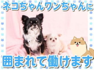 DOG&CAT JOKER 六本木ヒルズ店のアルバイト・バイト求人情報-04