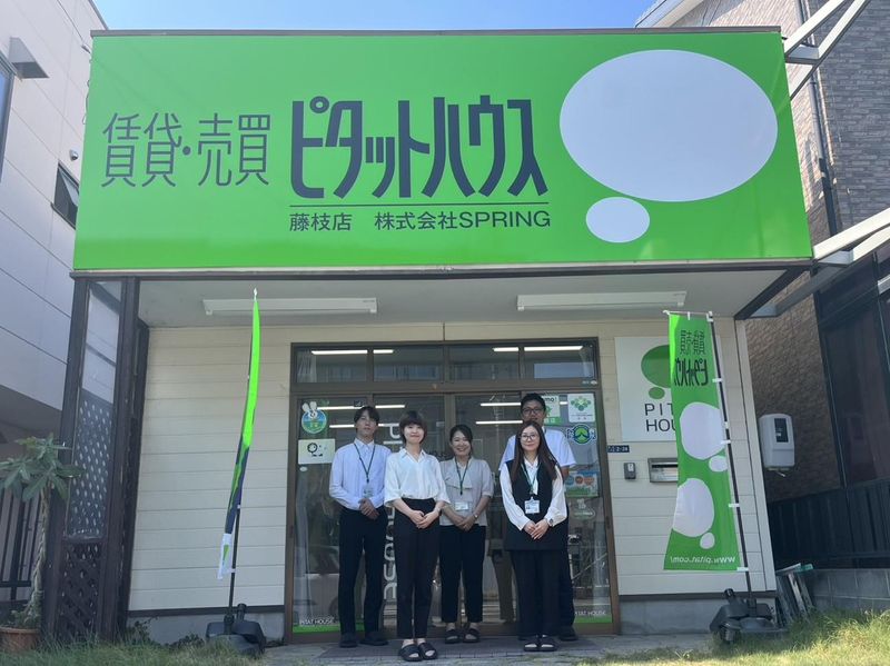 株式会社SPRING　ピタットハウス 掛川店の派遣求人情報