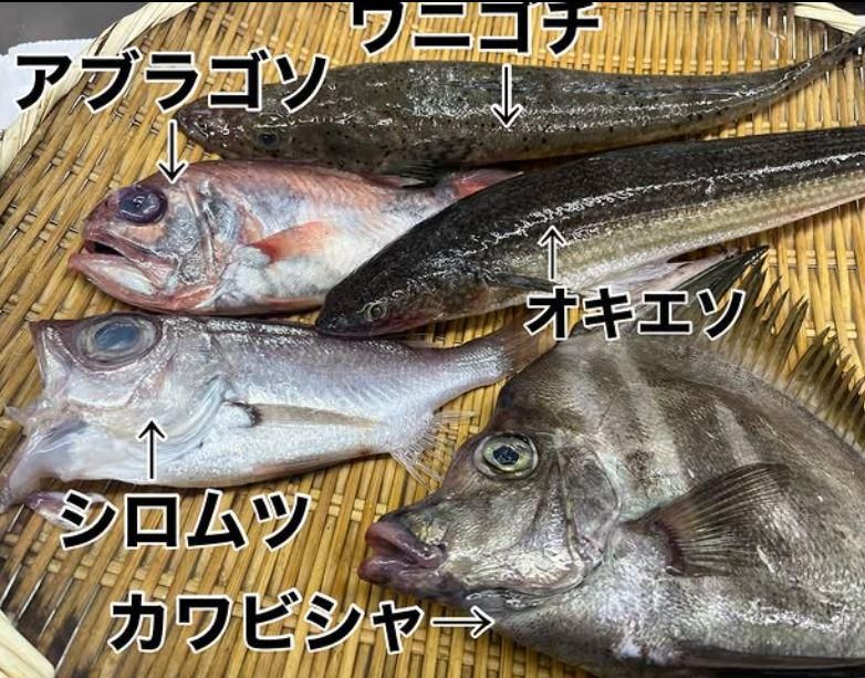 えっ!?にぎりっすか!?上溝店のアルバイト・バイト求人情報-03