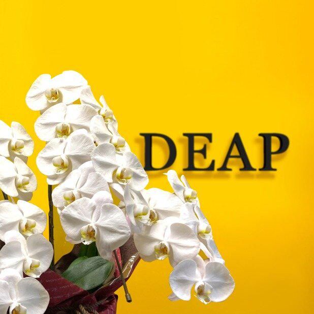 DEAP渋谷事務所のアルバイト・バイト求人情報-03