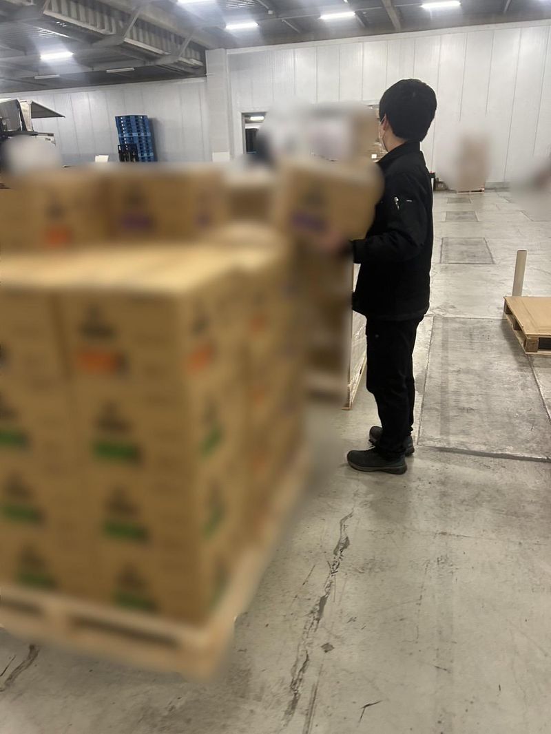 株式会社S.visionの求人・転職情報